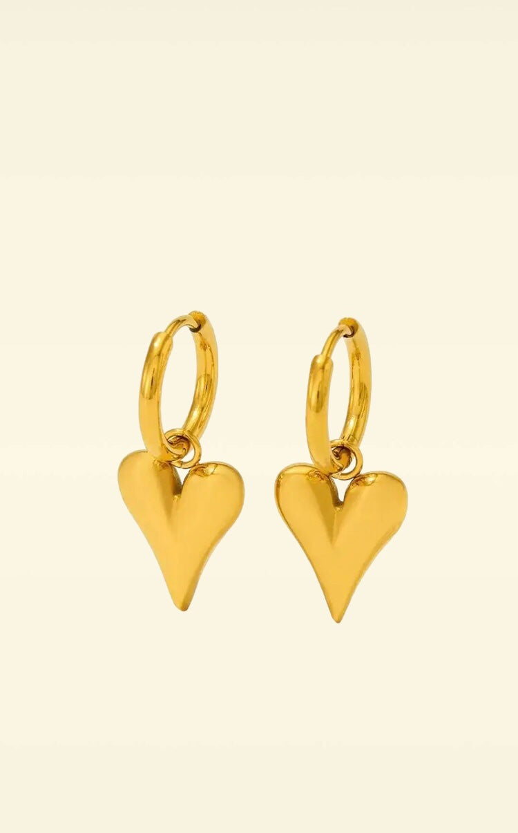 Heart earrings